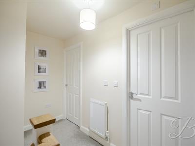 Picture 16